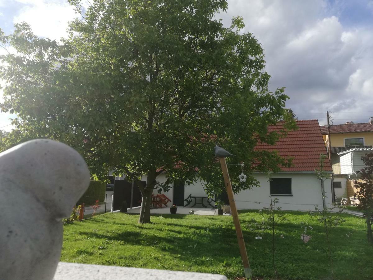 Haus Mit Garten Familie Pabst 马里兰科维茨 外观 照片