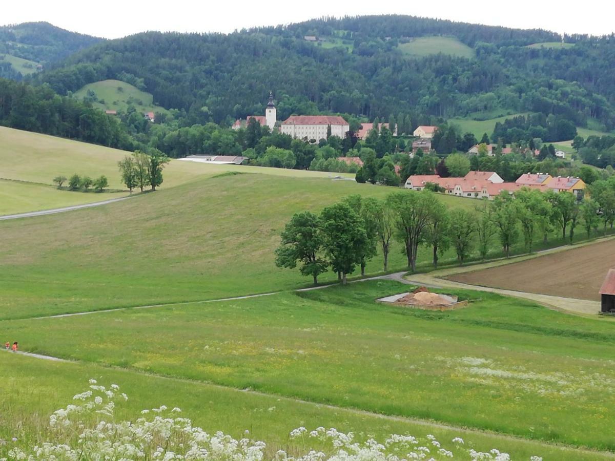 Haus Mit Garten Familie Pabst 马里兰科维茨 外观 照片